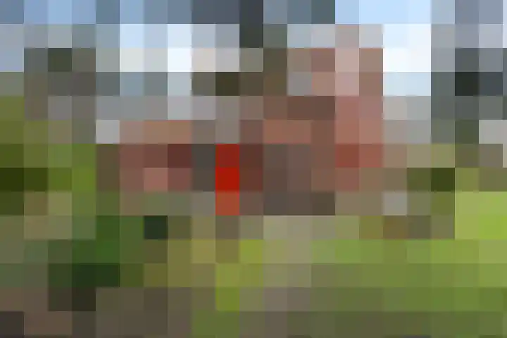Wedderstraat 9 Vlagtwedde thumbnail 36