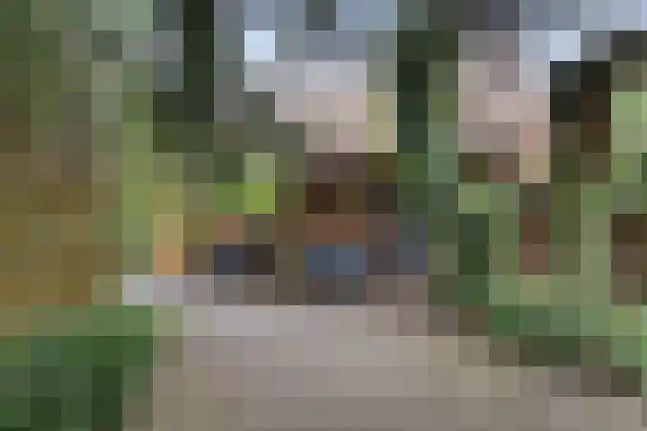 Wedderstraat 9 Vlagtwedde thumbnail 37