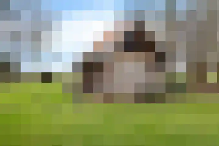Wedderstraat 9 Vlagtwedde thumbnail 6