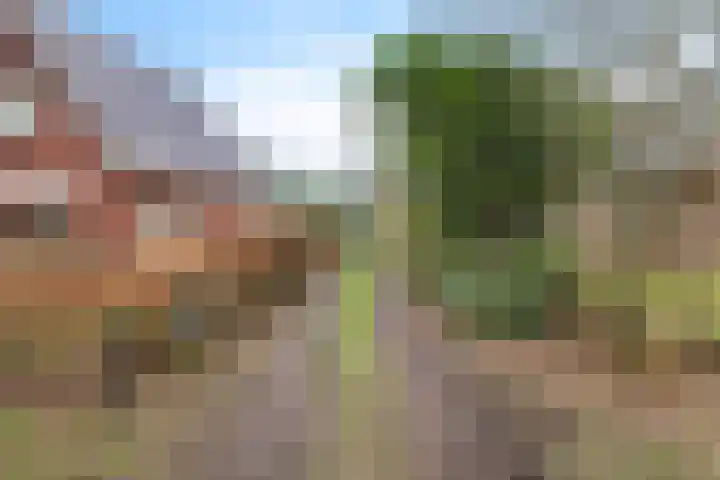 Wedderstraat 9 Vlagtwedde thumbnail 8