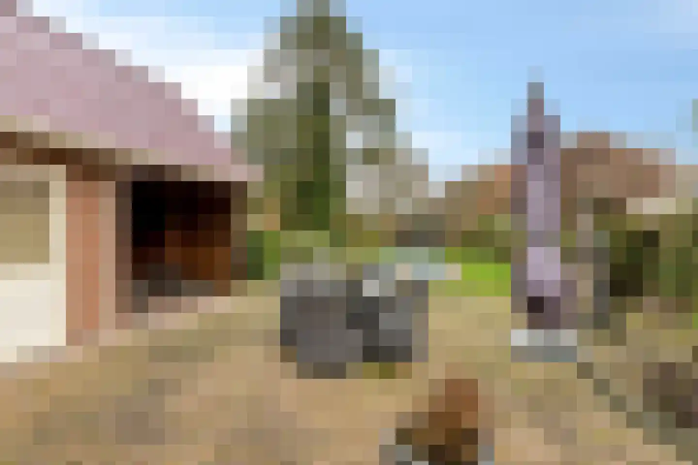 Wedderweg 41 Oude Pekela thumbnail 33