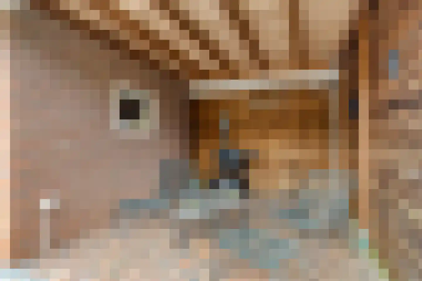 Wedderweg 41 Oude Pekela thumbnail 36