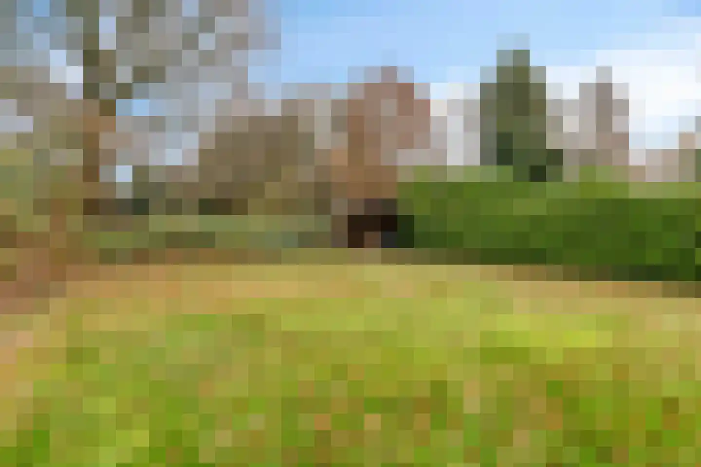 Wedderweg 41 Oude Pekela thumbnail 45