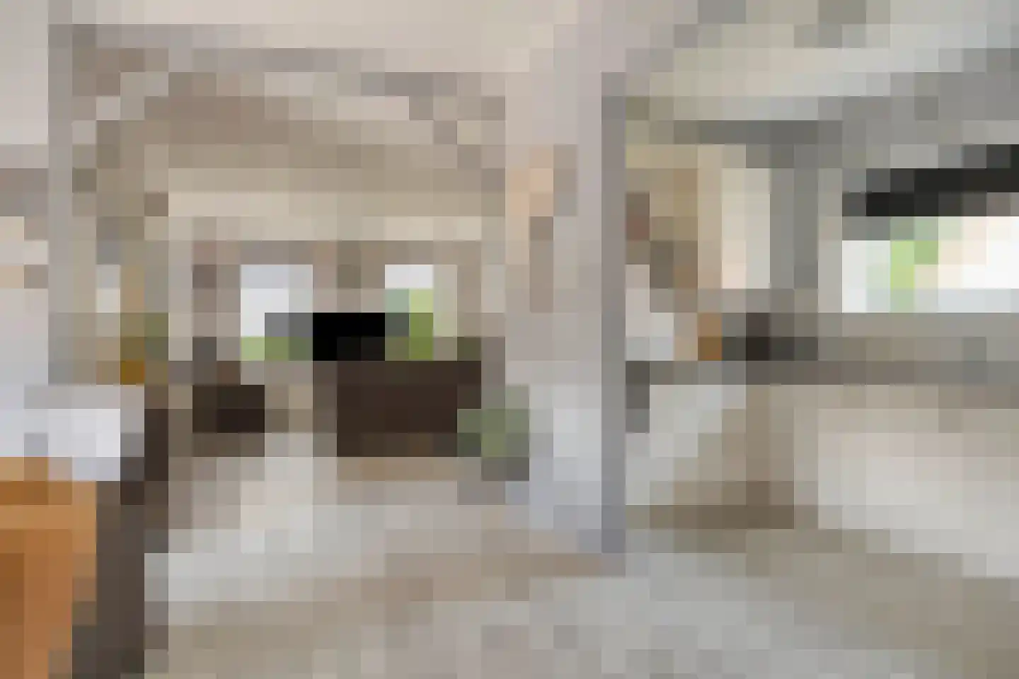 Wedderweg 5 Oude Pekela thumbnail 15