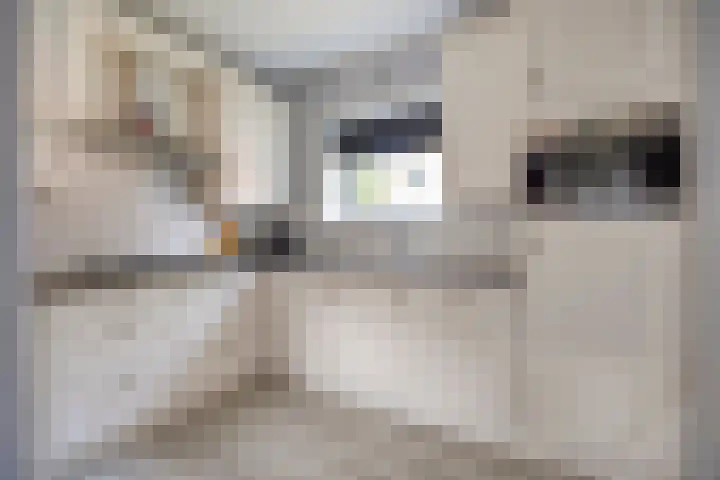 Wedderweg 5 Oude Pekela thumbnail 17