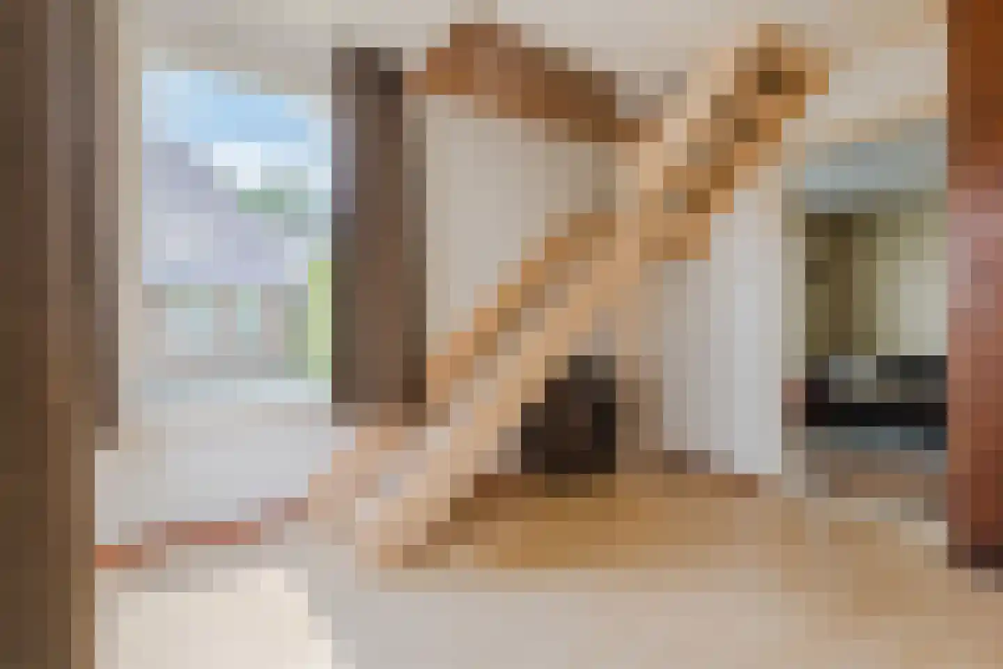 Wedderweg 6 Vriescheloo thumbnail 11