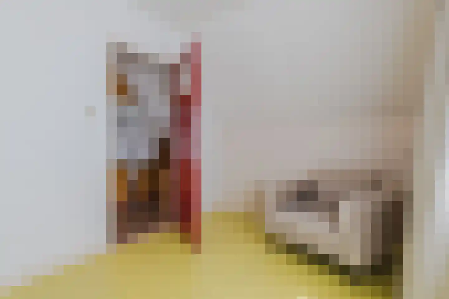 Wedderweg 6 Vriescheloo thumbnail 32