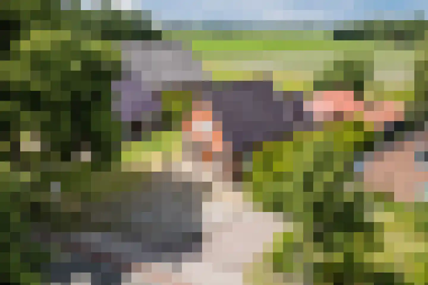 Wedderweg 6 Vriescheloo thumbnail 35