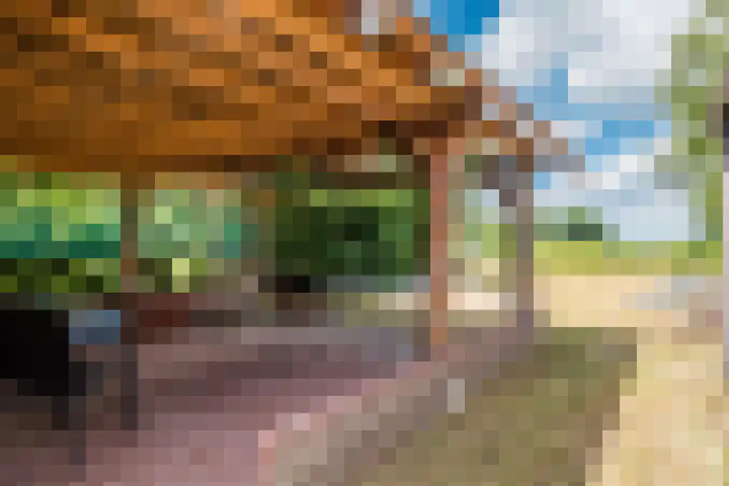 Wedderweg 6 Vriescheloo thumbnail 40