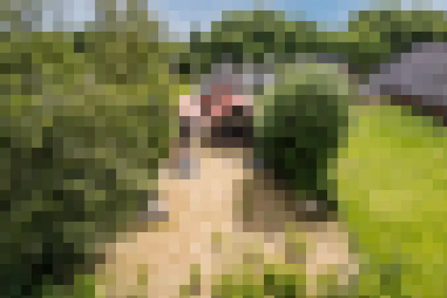 Wedderweg 6 Vriescheloo thumbnail 45