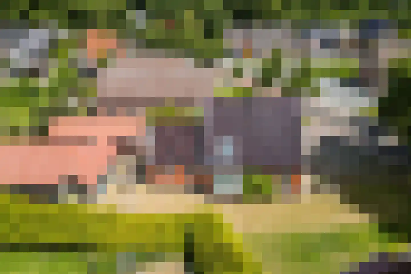 Wedderweg 6 Vriescheloo thumbnail 46