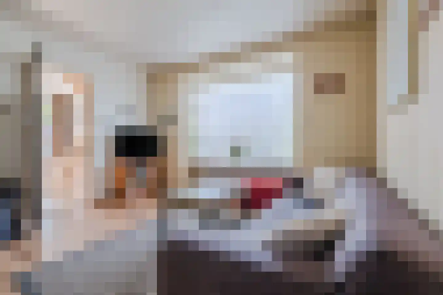 Wedderweg 6 Vriescheloo thumbnail 6