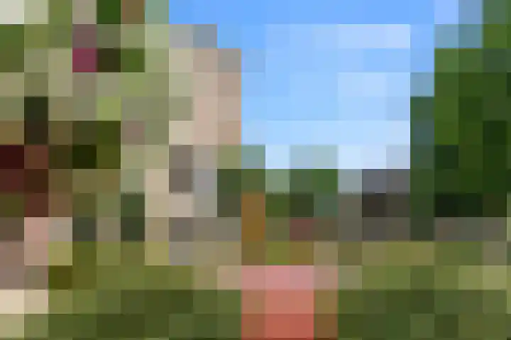 Weddesteeg 27 Leiden thumbnail 5