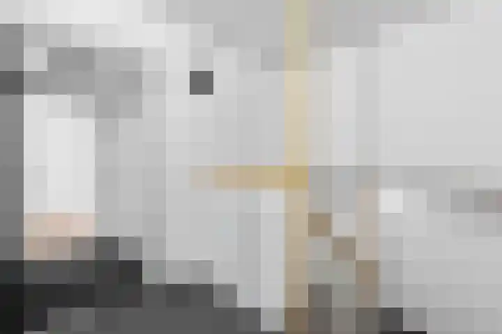Weddesteeg 27 Leiden thumbnail 8