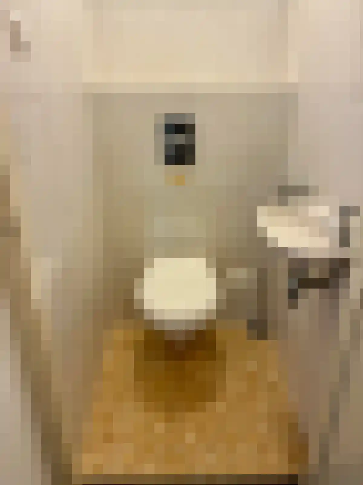 Weddesteeg Leiden thumbnail 6
