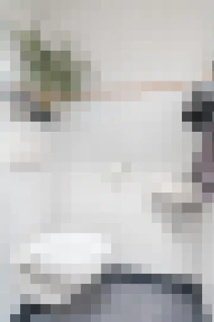 Wede 13 Geldrop thumbnail 22