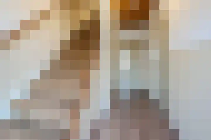 Wede 15 Geldrop thumbnail 10