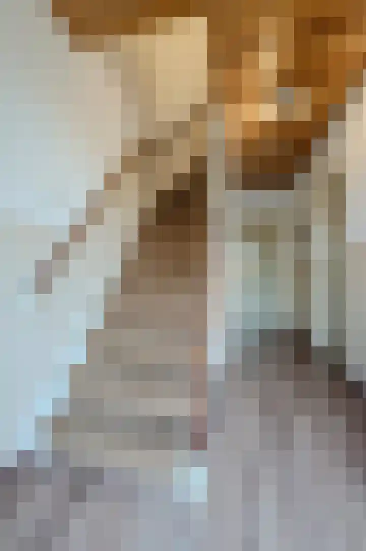Wede 15 Geldrop thumbnail 12