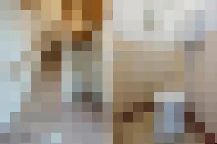 Wede 15 Geldrop thumbnail 14