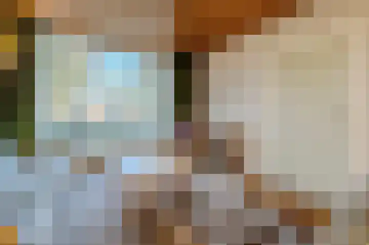Wede 15 Geldrop thumbnail 16
