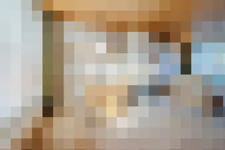 Wede 15 Geldrop thumbnail 20