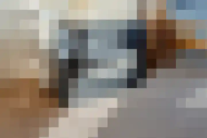 Wede 15 Geldrop thumbnail 21
