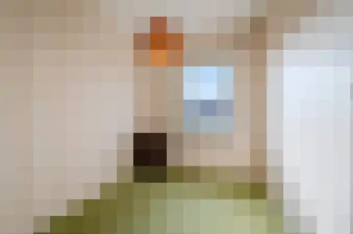 Wede 15 Geldrop thumbnail 33