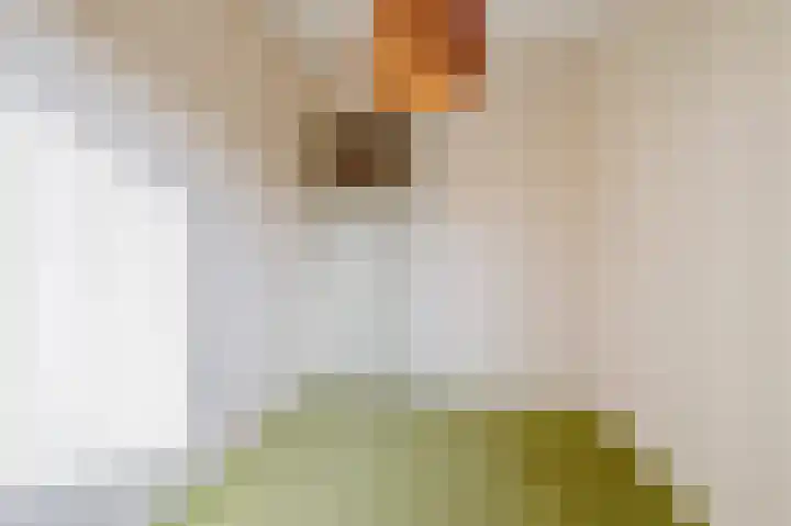 Wede 15 Geldrop thumbnail 35