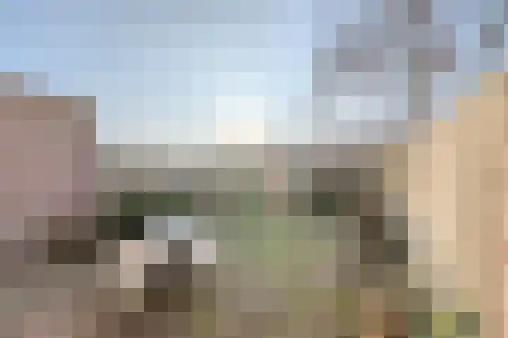 Wede 15 Geldrop thumbnail 51