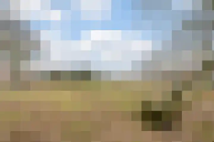 Wede 15 Geldrop thumbnail 57
