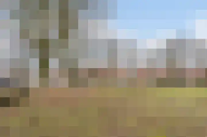 Wede 15 Geldrop thumbnail 59