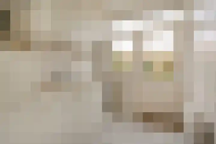Wede 27 Geldrop thumbnail 10