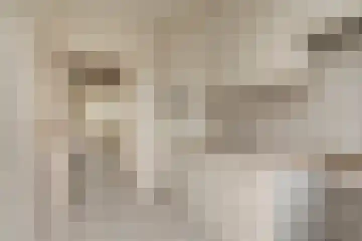 Wede 27 Geldrop thumbnail 11