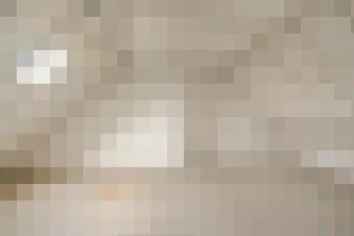 Wede 27 Geldrop thumbnail 22