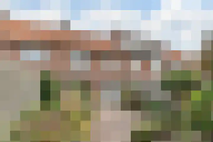 Wede 27 Geldrop thumbnail 24