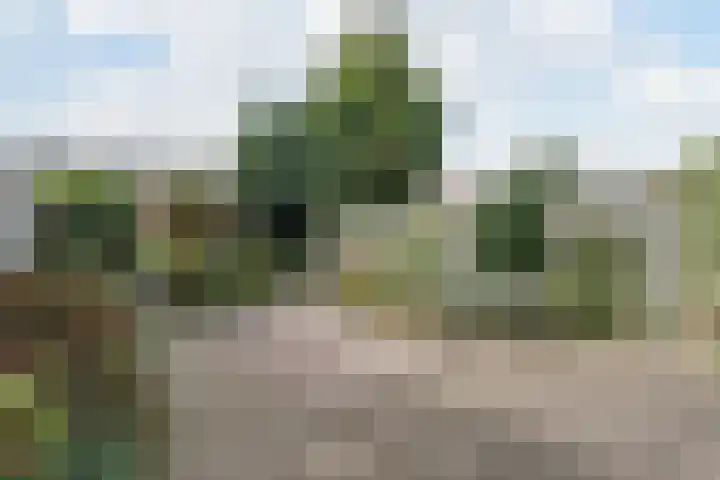 Wede 27 Geldrop thumbnail 25