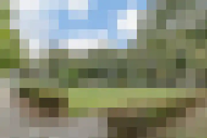 Wede 27 Geldrop thumbnail 27