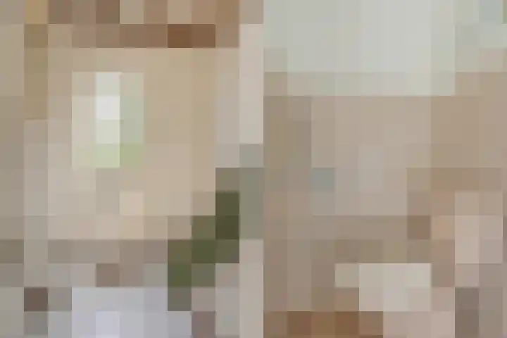 Wede 27 Geldrop thumbnail 4