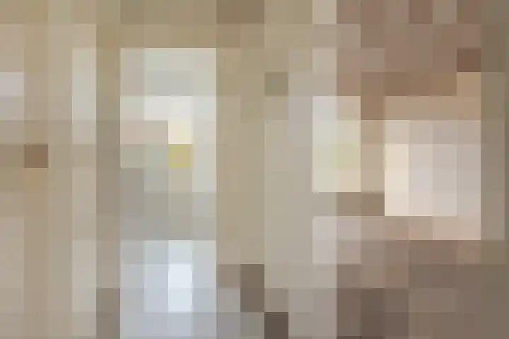 Wede 27 Geldrop thumbnail 5