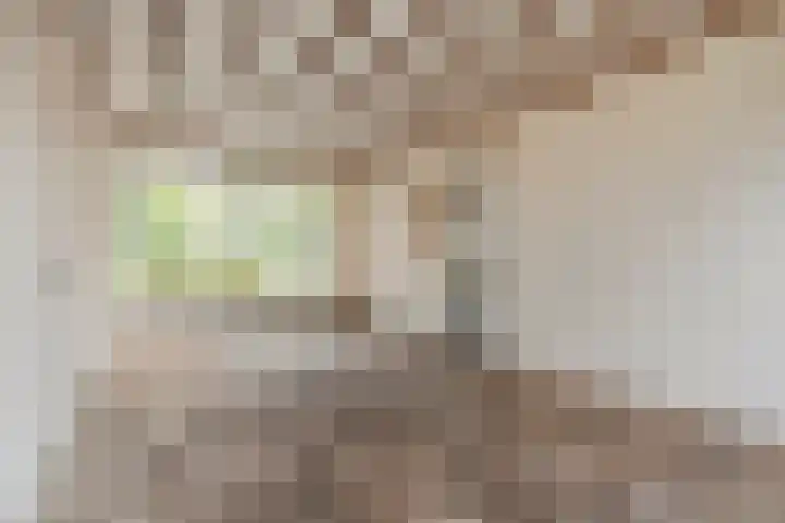 Wede 27 Geldrop thumbnail 8