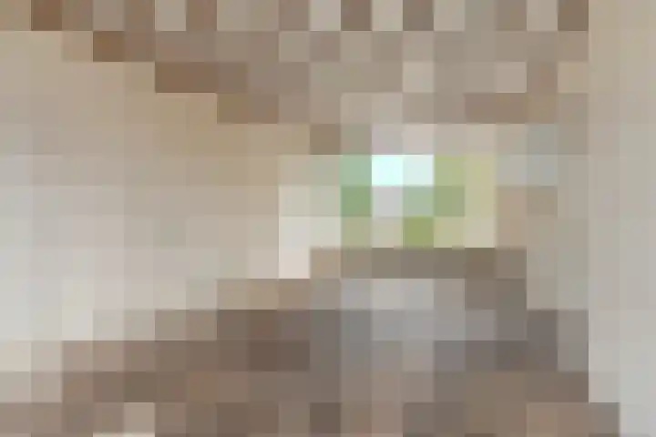 Wede 27 Geldrop thumbnail 9