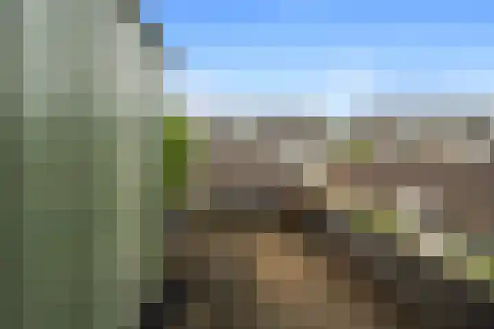 Wede 35 Geldrop thumbnail 12