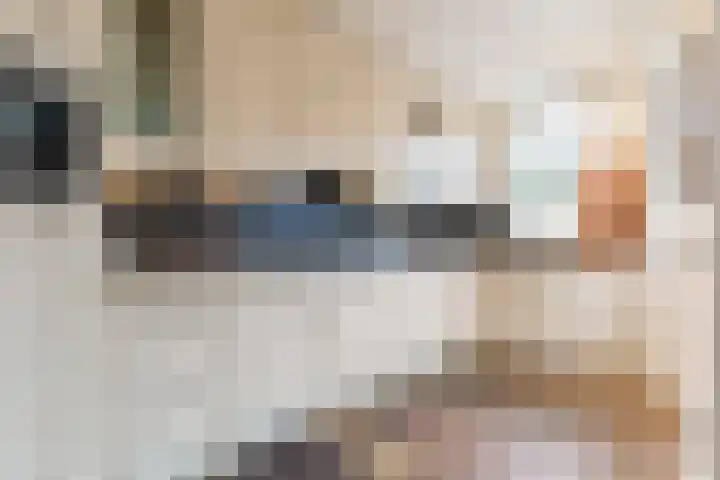 Wede 35 Geldrop thumbnail 15
