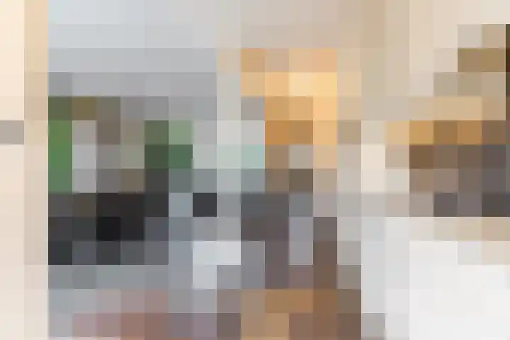 Wede 35 Geldrop thumbnail 16
