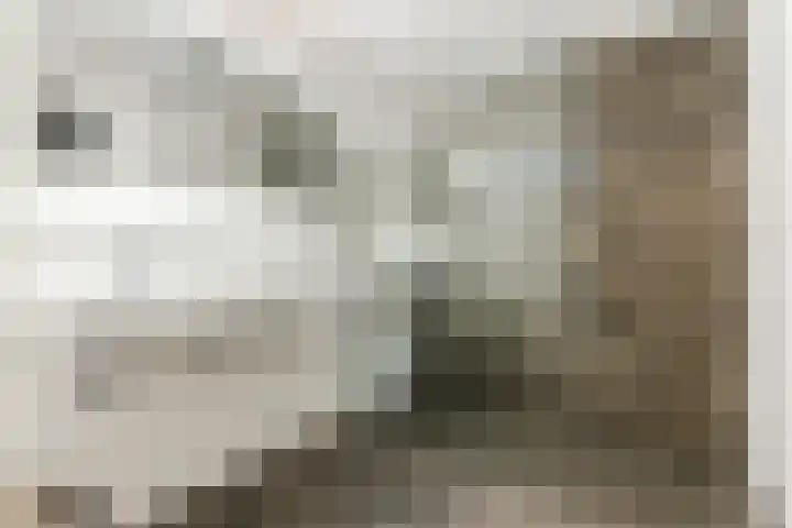 Wede 35 Geldrop foto 2