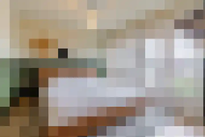Wede 35 Geldrop thumbnail 20