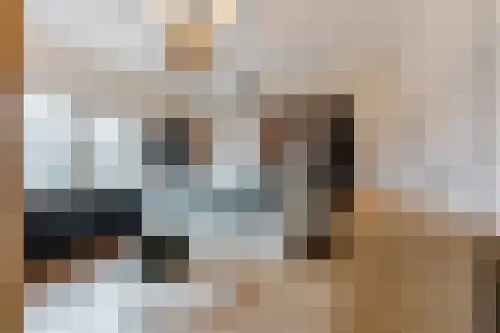 Wede 35 Geldrop thumbnail 24
