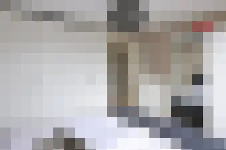 Wede 35 Geldrop thumbnail 26