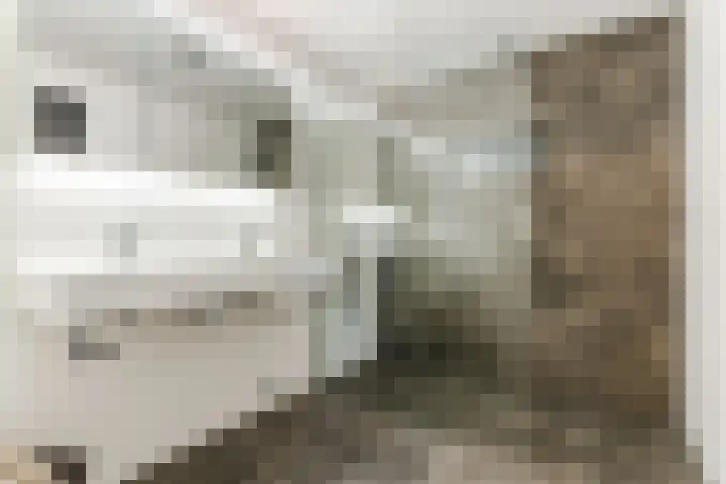 Wede 35 Geldrop thumbnail 27