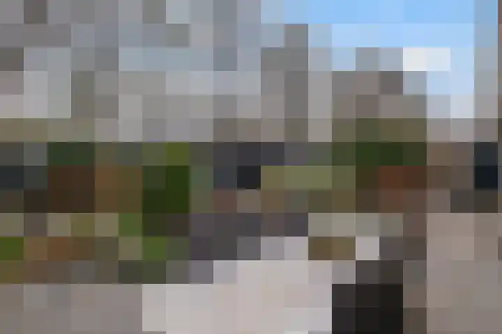 Wede 35 Geldrop thumbnail 29